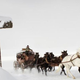 Illustration for article titled iThe Hateful Eight /ifeatures music originally written for iThe Thing/i